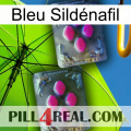 Bleu Sildénafil 01